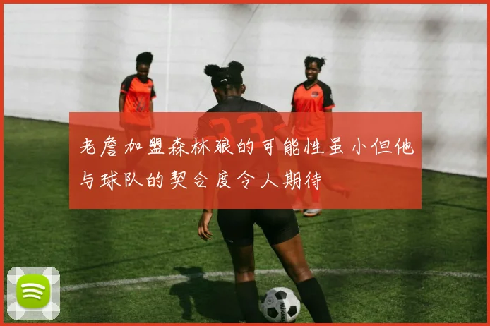 老詹加盟森林狼的可能性虽小但他与球队的契合度令人期待