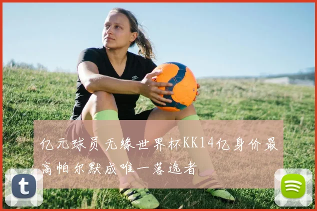 亿元球员无缘世界杯KK14亿身价最高帕尔默成唯一落选者